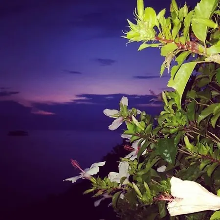 Lejlighed Pelagos_view Andros Mpatsi